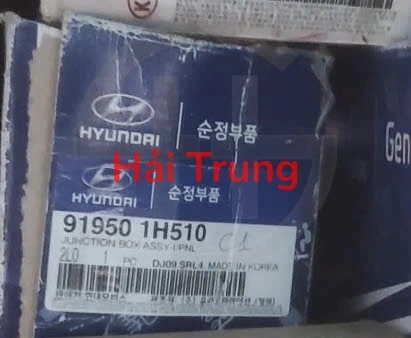 Hộp cầu trì trong xe Hyundai I30 919501H510