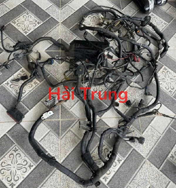 Bộ dây điện động cơ Ford Escape 2009-2013 Tháo Xe