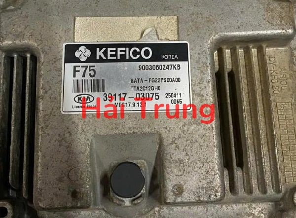 Hộp điều khiển động cơ ECU Hyundai Kia Meg17,9.12.1 Tháo Xe 39117-03075 3911703075