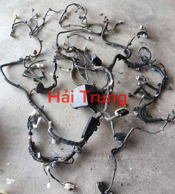 Bộ dây điện Toyota Vios 2009 2010 2011 2012 Tháo Xe