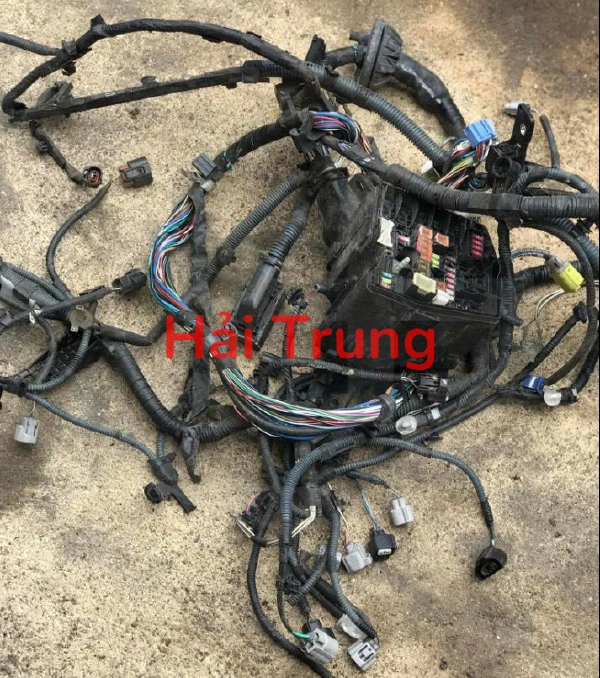 Bộ dây điện Toyota Hilux Tháo Xe