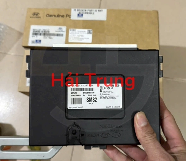 Hộp điều khiên chìa khóa thông minh SMK Hyundai I10 Tháo Xe 95480-B4820