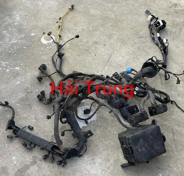 Bộ dây điện động cơ Hyundai Creta 2022-2025 Tháo Xe
