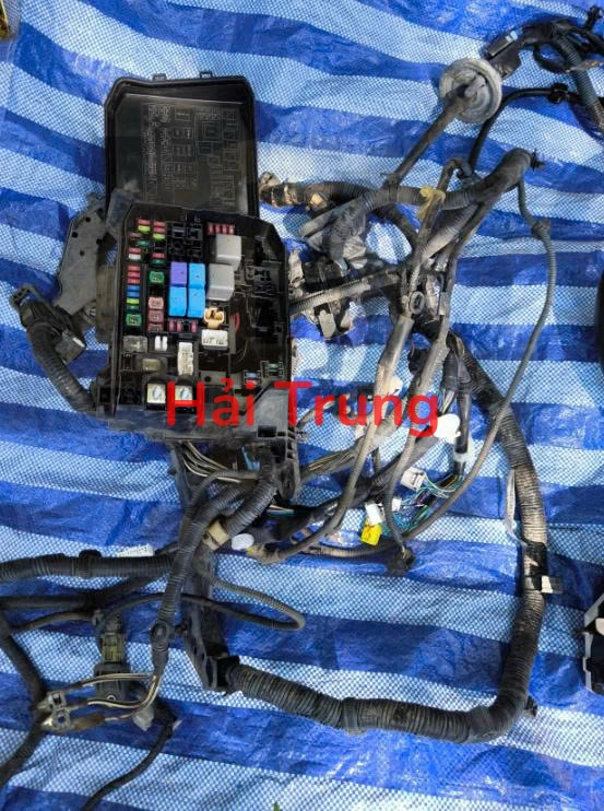Bộ dây điện động cơ Toyota Altis 2014-2020 Tháo Xe