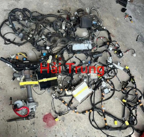 Bộ dây điện động cơ Toyota Vios 2019-2021 Tháo Xe
