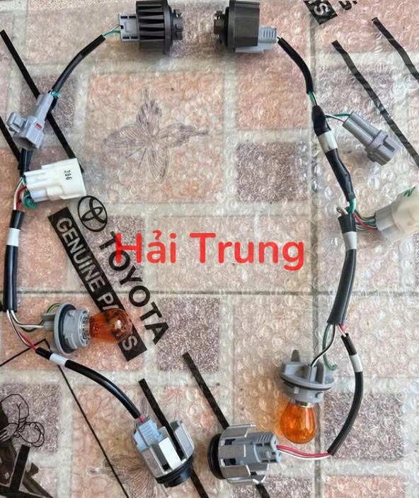 Bộ đui bóng đèn Toyota Fortuner, Hilux Tháo Xe