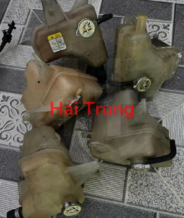 Bình nước phụ Ford Escape 2009-2013 Tháo Xe