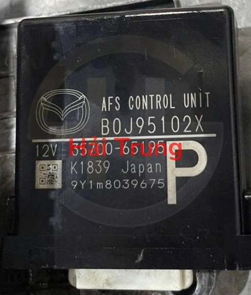 B0J95102X