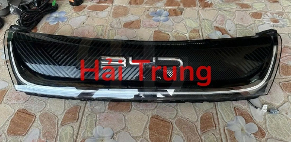 Mặt ca lăng BYD Dolphin Tháo Xe
